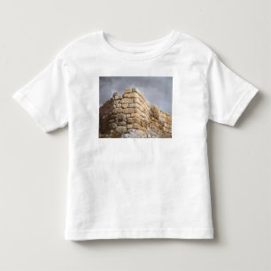 Detail van een stenen muur kinder shirts