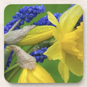 Detail van narcis- en hyacintbloemen. Credit Bier Onderzetter
