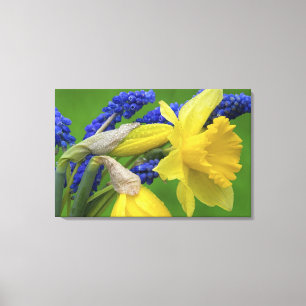 Detail van narcis- en hyacintbloemen. Credit Canvas Afdruk