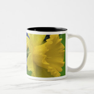 Detail van narcis- en hyacintbloemen. Credit Tweekleurige Koffiemok