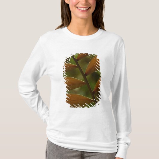 Detail van ondergroei palm. Mindo Cloud Forest. T-shirt (Voorkant)