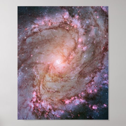 Detail van Spiral Galaxy M83 Poster (Voorkant)