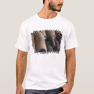 Detail van stoffige flessen op latten op houten t-shirt