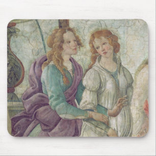 Detail van Venus en de Graces Muismat