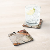 Detail van zeeschelpen van over de hele wereld bier onderzetter (Rechterzijde)