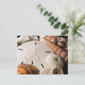 Detail van zeeschelpen van over de hele wereld briefkaart (Staand voorkant)