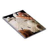 Detail van zeeschelpen van over de hele wereld notitieboek (Rechterzijde)