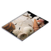 Detail van zeeschelpen van over de hele wereld notitieboek (Linkerzijde)