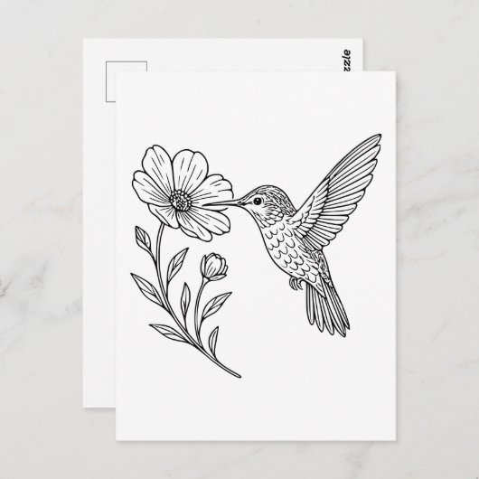 Detailed Hummingbird Line Art with Wildflower Briefkaart (Voorkant / Achterkant)