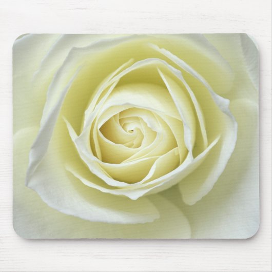 Detailopname van witte roos muismat (Voorkant)