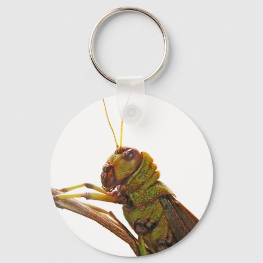 Details groene sprinkhaan sleutelhanger (Voorkant)