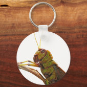 Details groene sprinkhaan sleutelhanger (Voorkant)