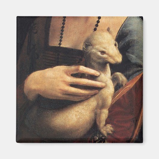 Details herkennen magneet (Voorkant)