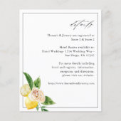 Details van de begrotingsnoer (Voorkant)