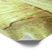 Details van de Delphi Charioter, c.470 BC Poster (Hoek)