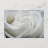 Details van de Elegant White Rose Wedding Guest Informatiekaartje (Achterkant)