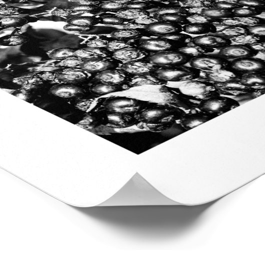 Details van de reeks Naturen - Details Poster (Hoek)