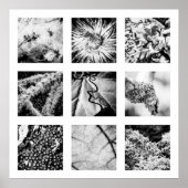 Details van de reeks Naturen - Details Poster (Voorkant)