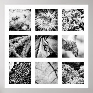 Details van de reeks Naturen - Details Poster