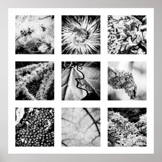 Details van de reeks Naturen - Details Poster (Voorkant)