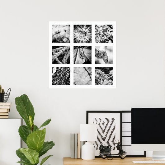 Details van de reeks Naturen - Details Poster (Thuiskantoor)