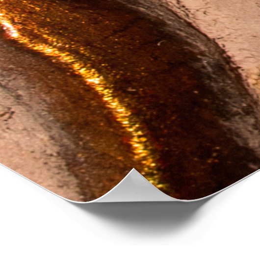 details van het lijst van siergewassen, bronzen kl poster (Hoek)