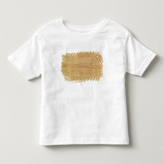 Details van het Rijnmathematisch papyrus Kinder Shirts (Voorkant)