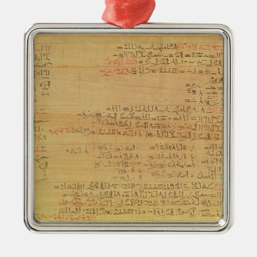 Details van het Rijnmathematisch papyrus Metalen Ornament (Voorkant)