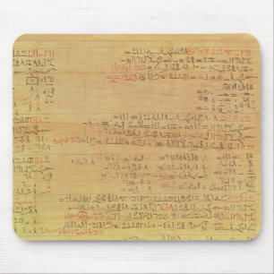 Details van het Rijnmathematisch papyrus Muismat