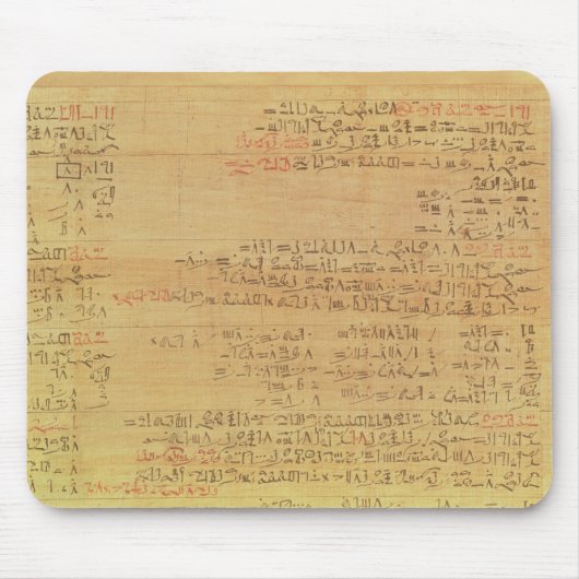Details van het Rijnmathematisch papyrus Muismat (Voorkant)