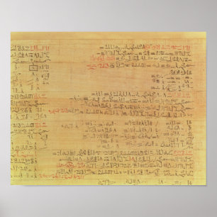 Details van het Rijnmathematisch papyrus Poster