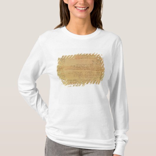 Details van het Rijnmathematisch papyrus T-shirt (Voorkant)