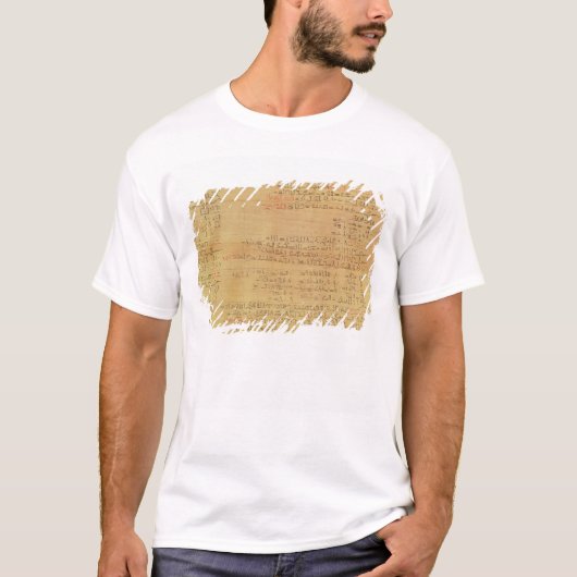 Details van het Rijnmathematisch papyrus T-shirt (Voorkant)