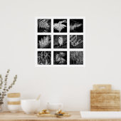 Details van Nature serie - Varens poster (Keuken)