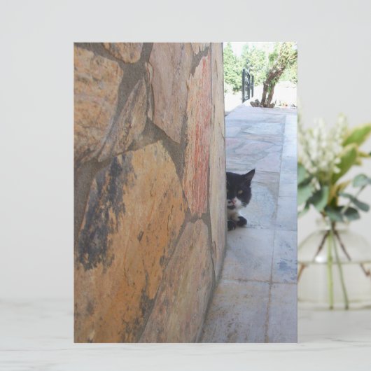 DETECTIEVE KAT ACHTER DE STEENWAL ( (Staand voorkant)