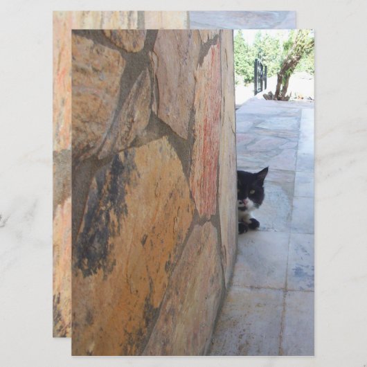 DETECTIEVE KAT ACHTER DE STEENWAL ( (Voorkant / Achterkant)