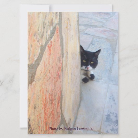 DETECTIEVE KAT ACHTER DE STEENWAL ( (Achterkant)