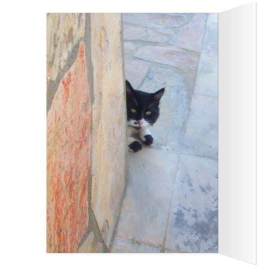 DETECTIEVE KAT ACHTER DE STEENWAL (Binnen (Links))