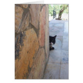 DETECTIEVE KAT ACHTER DE STEENWAL (Voorkant)