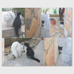 DETECTIEVE KAT ACHTER DE STEENWAL CADEAUPAPIER