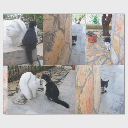 DETECTIEVE KAT ACHTER DE STEENWAL CADEAUPAPIER (Vlak)