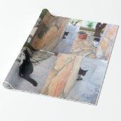 DETECTIEVE KAT ACHTER DE STEENWAL CADEAUPAPIER (Uitgerold)