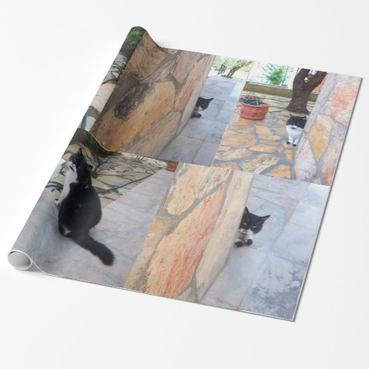 DETECTIEVE KAT ACHTER DE STEENWAL CADEAUPAPIER (Uitgerold)