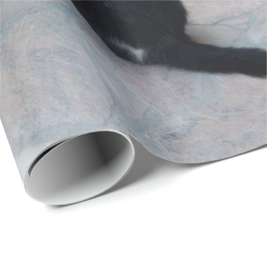 DETECTIEVE KAT ACHTER DE STEENWAL CADEAUPAPIER (Rol Hoek)