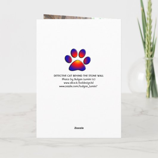 DETECTIEVE KAT ACHTER DE STEENWAL KAART (Achterkant)