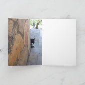 DETECTIEVE KAT ACHTER DE STEENWAL KAART (Binnen)