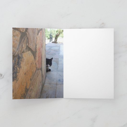 DETECTIEVE KAT ACHTER DE STEENWAL KAART (Binnen)