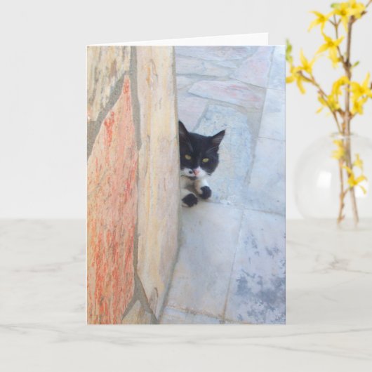 DETECTIEVE KAT ACHTER DE STEENWAL KAART (Gele Bloem)