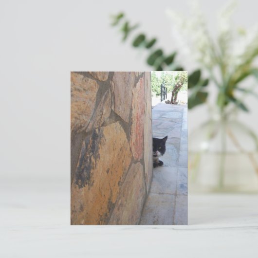 DETECTIEVE KAT ACHTER DE STEENWAL/Vaderdag Briefkaart (Staand voorkant)