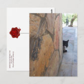 DETECTIEVE KAT ACHTER DE STEENWAL/Vaderdag Briefkaart (Voorkant / Achterkant)